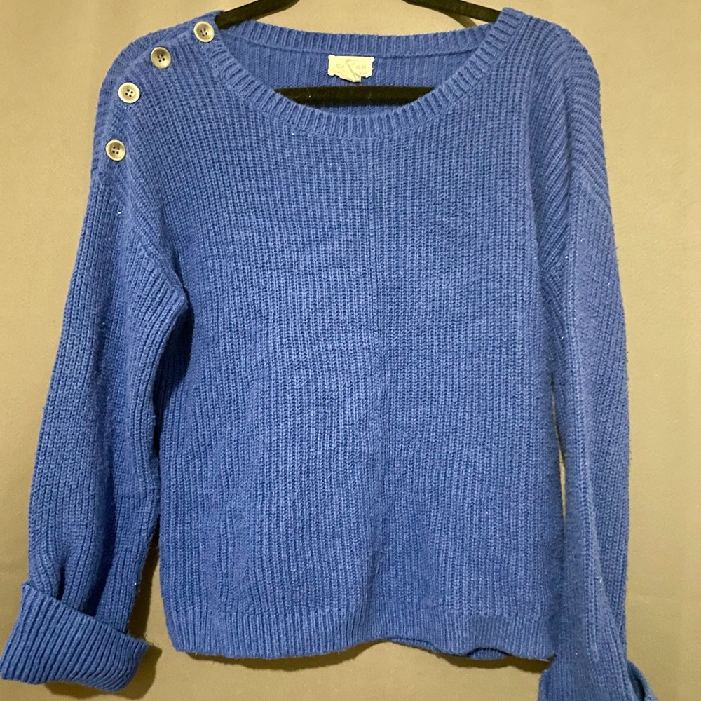 Blue sweater